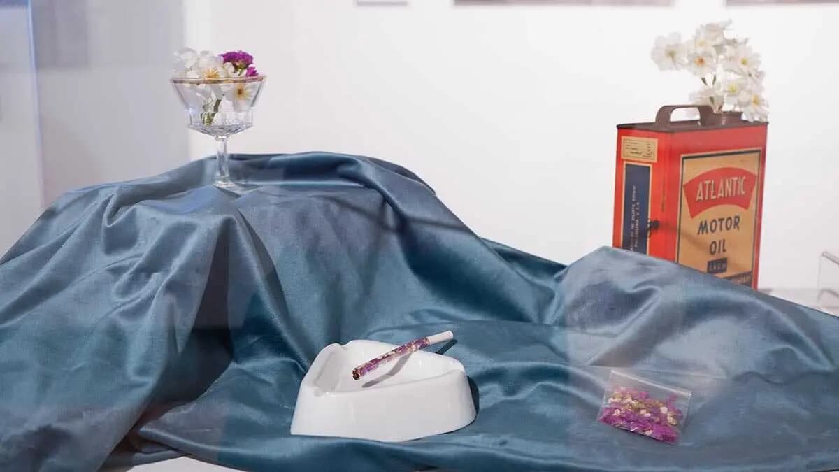 Los bodegones "contemporáneos" de Olga S. Ortiz inundan las paredes del Palacio de Montemuzo