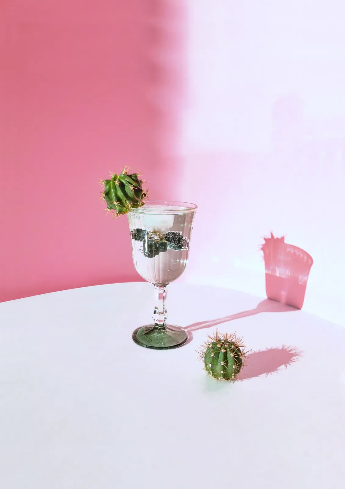 CÓCTEL DE CACTUS